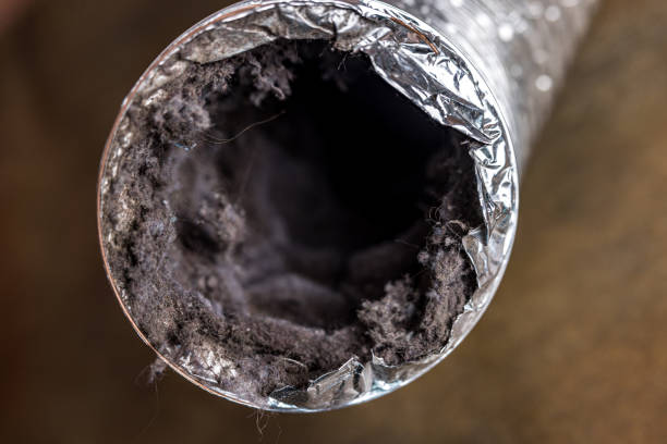Best HVAC Duct Inspection Services  in Strawberry Point, IA